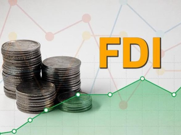 Foreign Direct Investment Advisory Services India